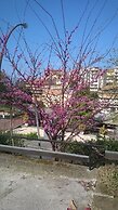 Albergo Da Peppino