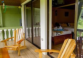 Jacamar Corcovado Drake Day