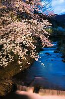 Yumoto Komachikan