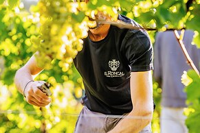 Il Roncal Wine Resort
