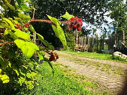 B&B Zandhuizen
