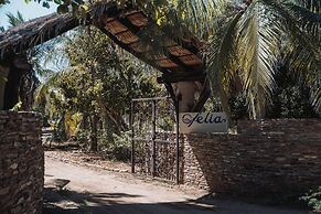 Casa Ofelia