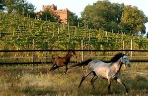 La Cascina del Castello