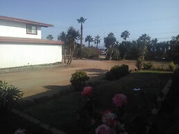 Mexican Paradise