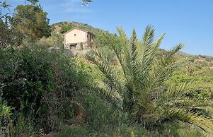 Antico Palmento di Feo Coniglio