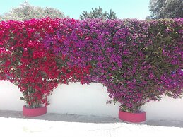 B&B Verdegiada