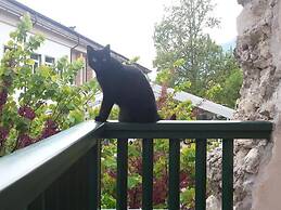 B&B Al Gatto Nero