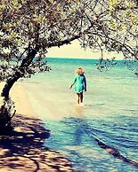 Evasion