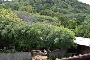 Gamboozini Lodge