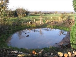 Broomedge Farm Cottages