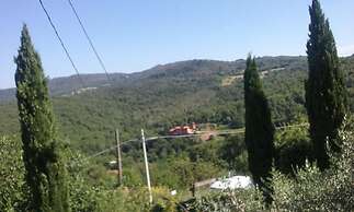 Latera B&B
