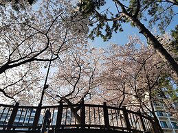 Suntree Hotel
