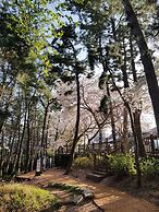 Suntree Hotel