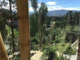 Bambu Sierra