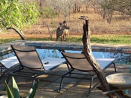 Call of the Wild Lodge