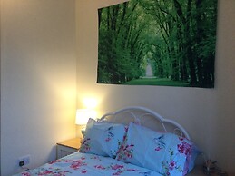 TDM Bachelot Lettings