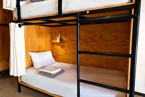 Mayan Monkey Los Cabos | Social Hotel
