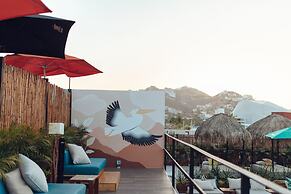 Mayan Monkey Los Cabos | Social Hotel