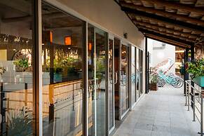 Mayan Monkey Los Cabos | Social Hotel