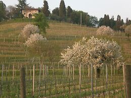 Agriturismo Colutta