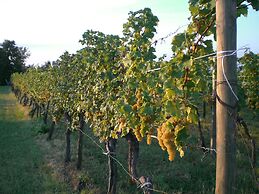 Agriturismo Colutta