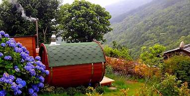 El Bosque de las Viñas