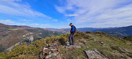 El Bosque de las Viñas