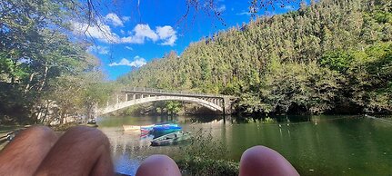El Bosque de las Viñas
