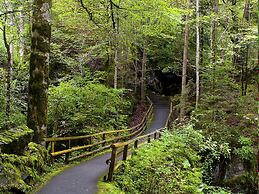 Hotel Blausee