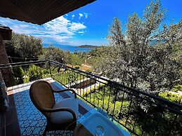 Assos Longevity Hotel