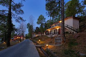 Arcadian Blue Pines