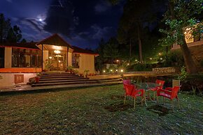 Arcadian Blue Pines