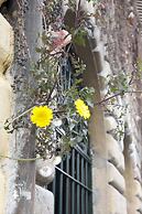 Fori Romani B&B