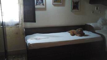B&B La Ginestra