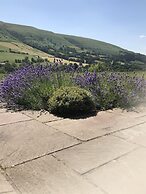 The Celyn