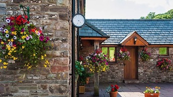 The Celyn