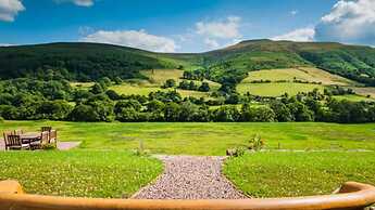 The Celyn
