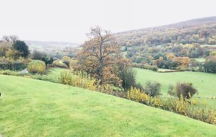 The Celyn