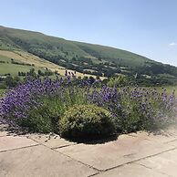 The Celyn