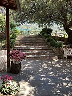 Nonno Luigino