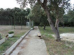 B&B Ulivi d'Argento