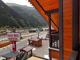 Hayat Rose Hotel
