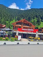 Hayat Rose Hotel