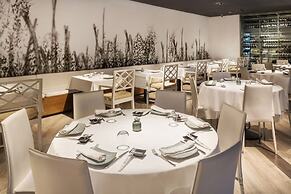 The Level at Melia Castilla