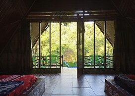 Green Forest Tangkahan