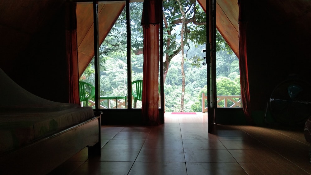 Green Forest Tangkahan