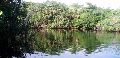 Terrazas del Rinconcito