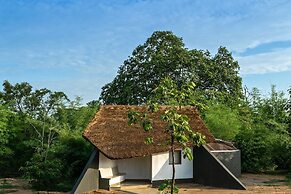 Red Earth Tadoba