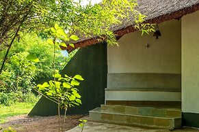 Red Earth Tadoba