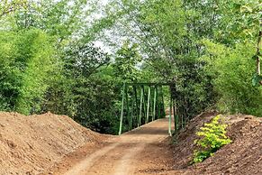 Red Earth Tadoba
